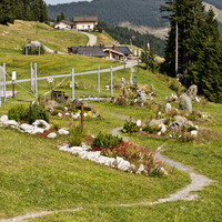 Heilkräuterweg Saalbach Hinterglemm | © Mirja Geh