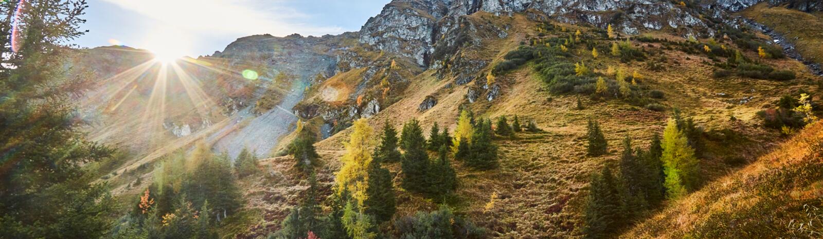 Home of Lässig Walk - Saalbach Hinterglemm | © Daniel Roos