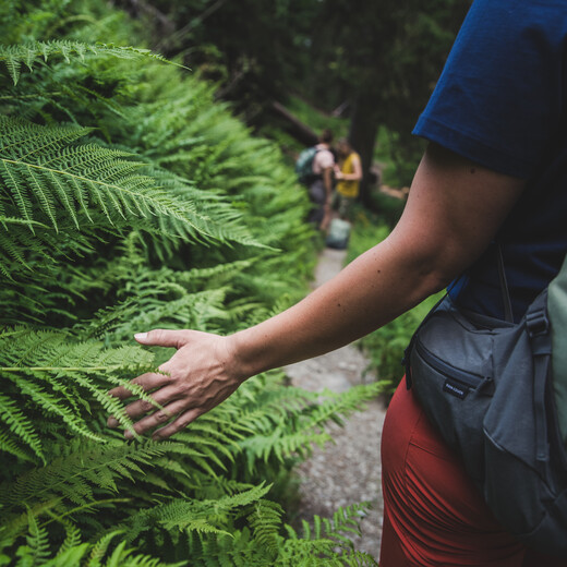 Wandern in Saalbach | © Mia Maria Knoll