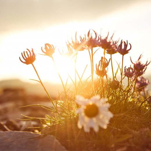 Hacklberger Seen | © Daniel Roos