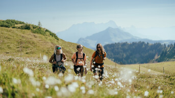 Wandern und Bergwandern in Saalbach Hinterglemm - Salzburgerland - Österreich | © Branislav Rohal