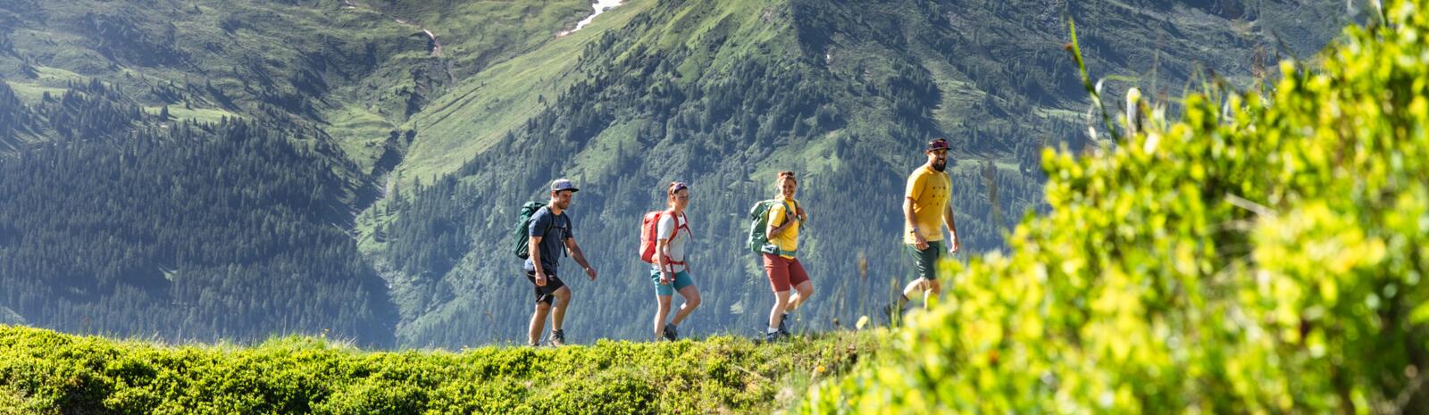 Wandern in Saalbach Hinterglemm | © Karin Pasterer