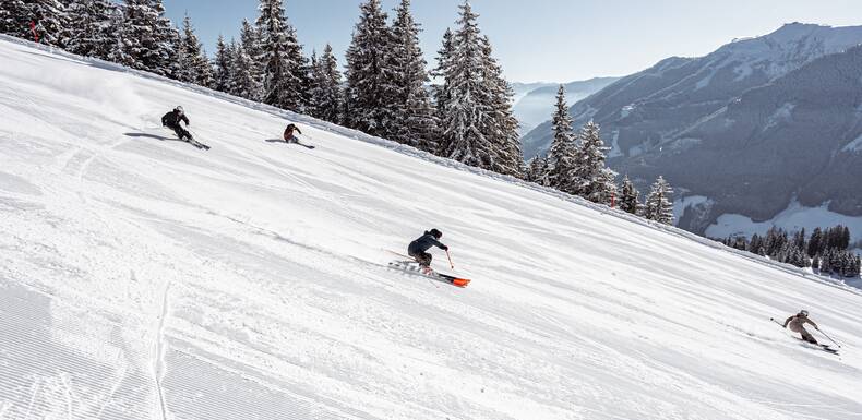 © Roast Media, David Ferk