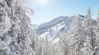 mountain landscape in Saalbach | © TVB Saalbach Hinterglemm, Christian Wöckinger