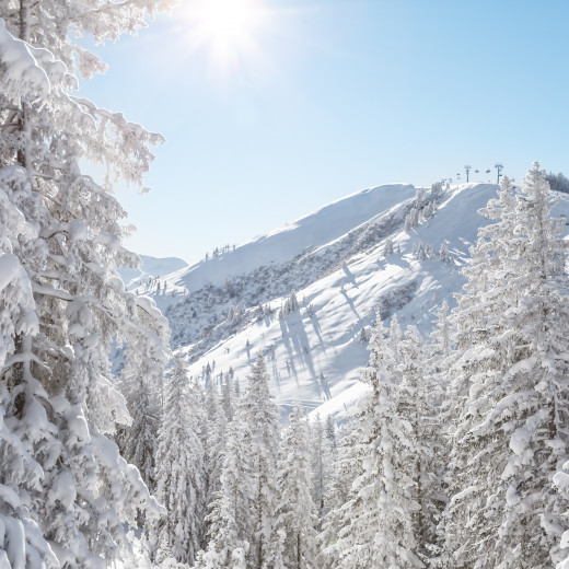 mountain landscape in Saalbach | © TVB Saalbach Hinterglemm, Christian Wöckinger