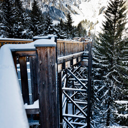 Baumzipfelweg Saalbach Hinterglemm | © Mirja Geh Baumzipfelweg Saalbach Hinterglemm | © Mirja Geh