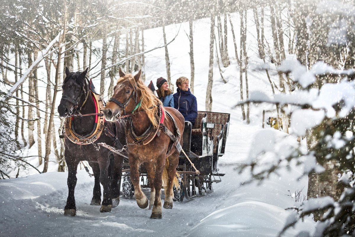 horse drawn sleigh rides infrastructure in saalbach