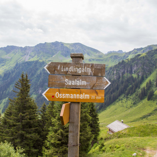 Wir starten Richtung Ossmannalm. | © Thorsten Günthert