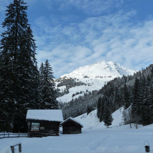 Der Pferdeschlittenstandplatz der Lindlingalm | © Privat