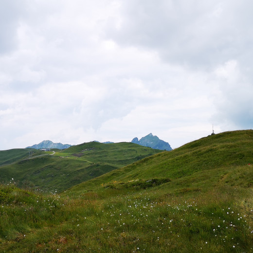 Teletubbieland oder Herr der Ringe? Teletubbieland oder Herr der Ringe?