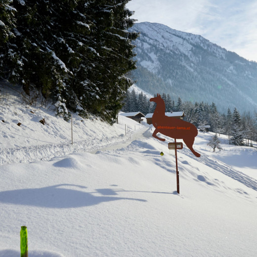 Signpost showing the way to the llamas | © loopingmagazin