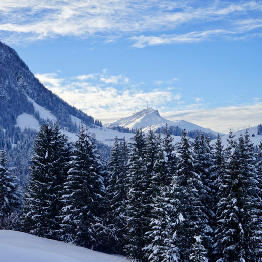 View to Kitzbüheler Horn | © loopingmagazin