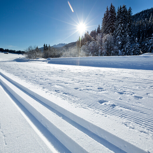 Freshly groomed cross country trail | © saalbach.com, Mirja Geh Langlaufloipe | © saalbach.com, Mirja Geh
