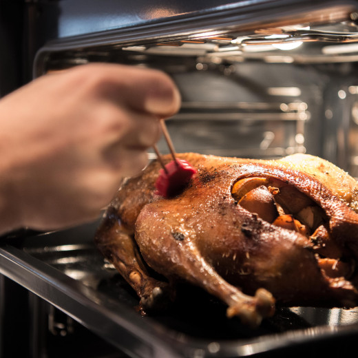 baste the goose with its juices | © c Edith Danzer