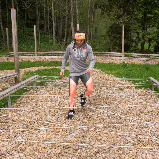 Coordination in the spider-web | © Edith Danzer