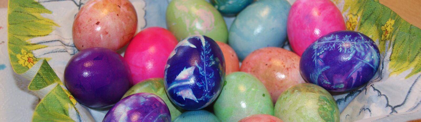 Colorful Easter eggs - naturally colored | © Bianca Passrugger-Lörgetbohrer