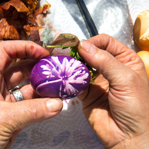 Unpacking is always a surprise | © Edith Danzer