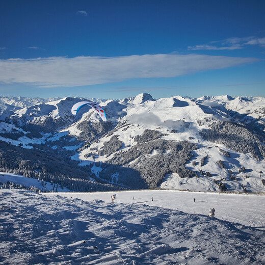 Suchbild - wir fliegen! | © danielroosphotography