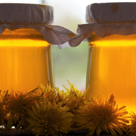 Löwenzahnhonig