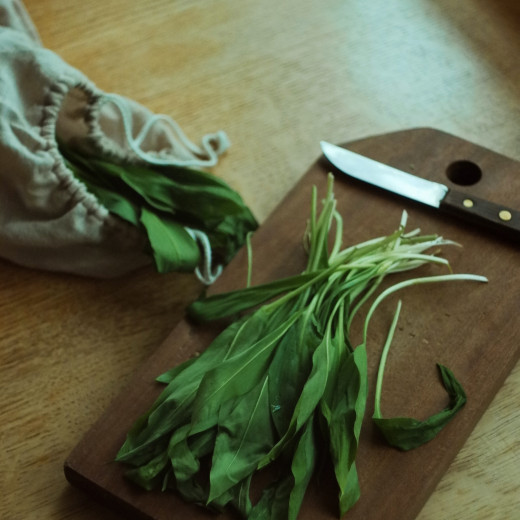 Bärlauch | © Anna Auza