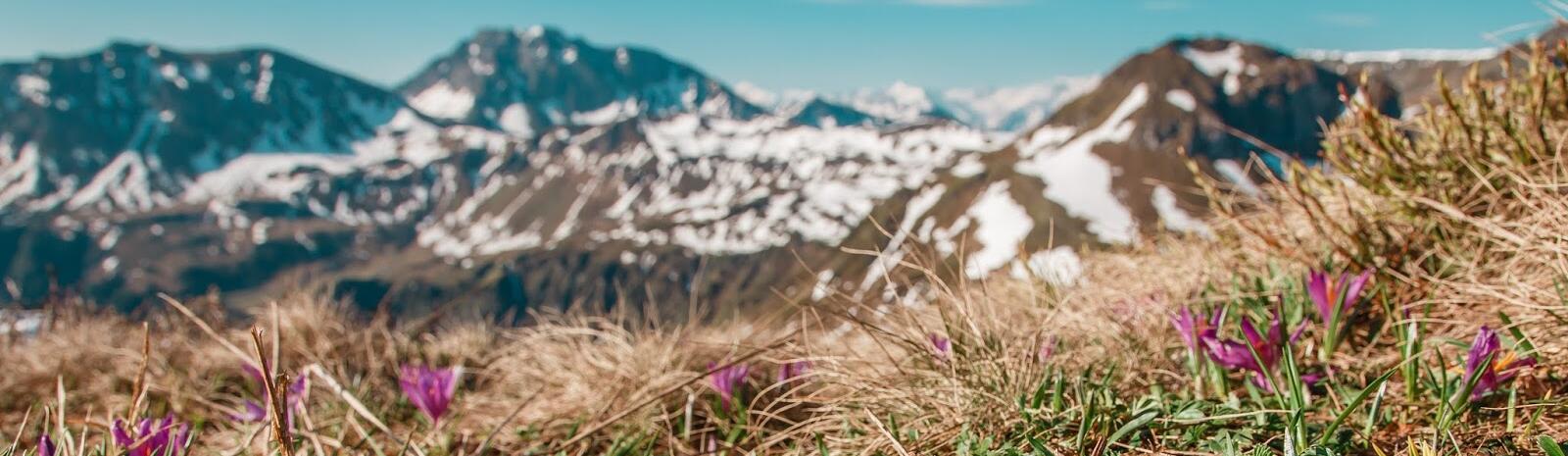 Frühlingsgrüße am Gipfel | © Best Mountain Artists