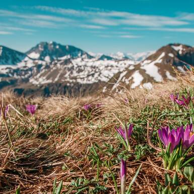 Frühlingsgrüße am Gipfel | © Best Mountain Artists