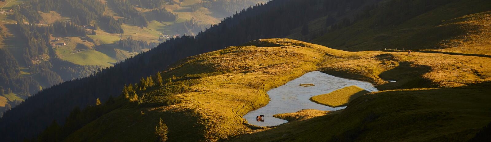 Herbst in Saalbach Hinterglemm | © saalbach.com, Daniel Roos