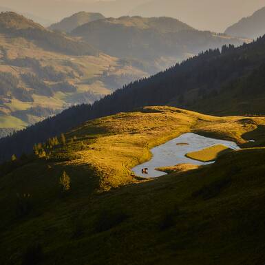 Herbst in Saalbach Hinterglemm | © saalbach.com, Daniel Roos