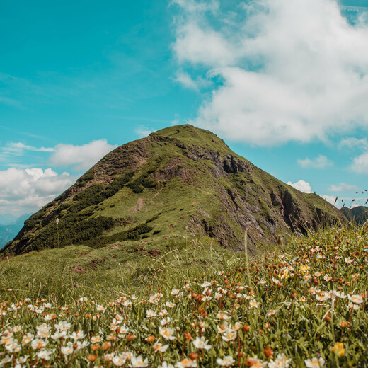 Das Spielberghorn | © BMA Thorsten Günthert