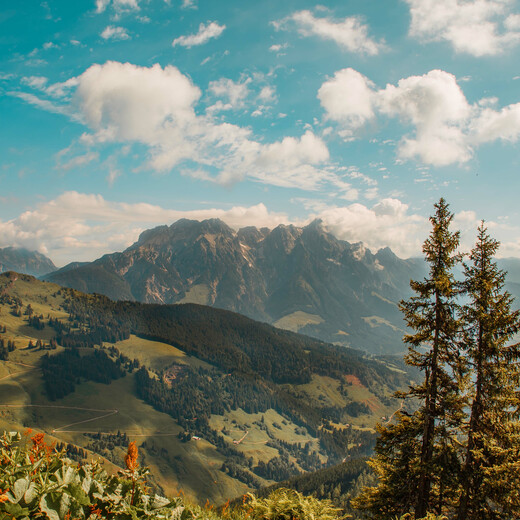 Leoganger Steinberge | © BMA Thorsten Günthert