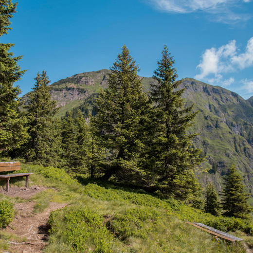 Bench with view to Spielberghorn | © BMA Thorsten Günthert
