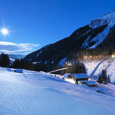 Golden Gate Bridge der Alpen und Baumzipfelweg | © gesamt.at