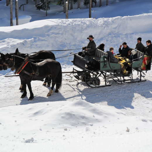 horse sleigh ride in the valley head | © gesamt.at