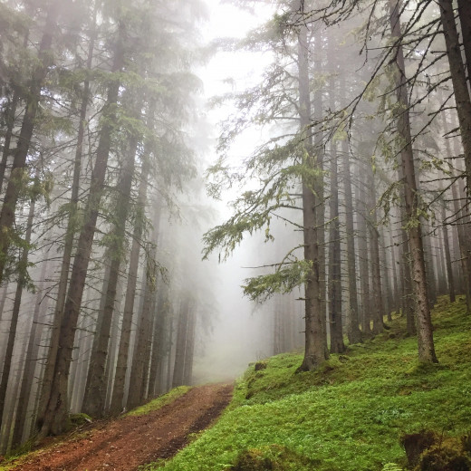 Einmal volltanken, bitte.  | © Edith Danzer Einmal volltanken, bitte.  | © Edith Danzer