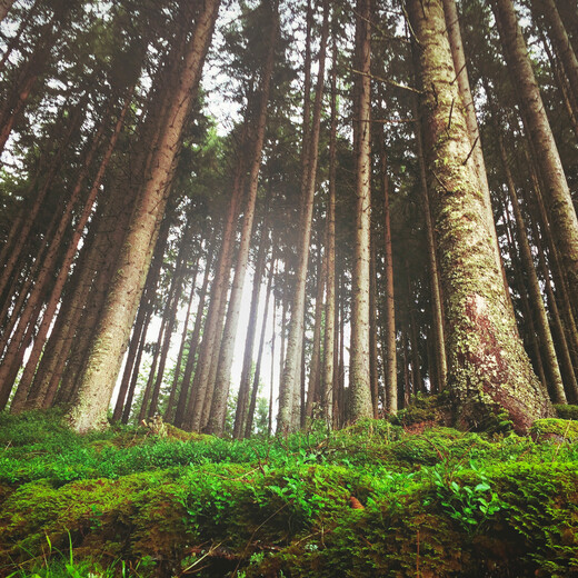 Auch mal die Perspektive wechseln | © Edith Danzer Auch mal die Perspektive wechseln | © Edith Danzer