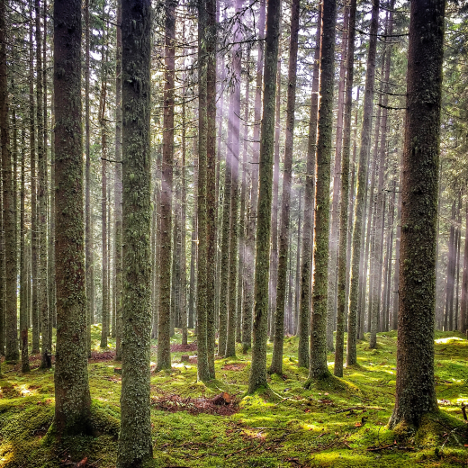 Eintauchen und durchatmen | © Edith Danzer Eintauchen und durchatmen | © Edith Danzer