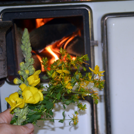 Einheizen der Wetterpflanzen | © Susanne Mitterer Einheizen der Wetterpflanzen | © Susanne Mitterer