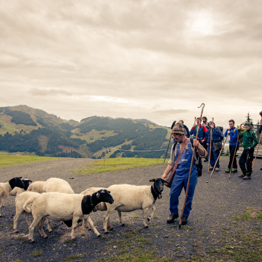 Gottfried und seine Helfer | © Edith Danzer