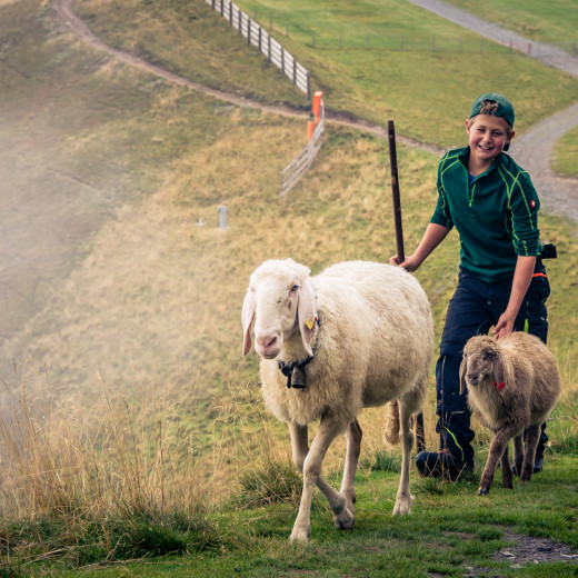 Alle helfen mit | © Edith Danzer