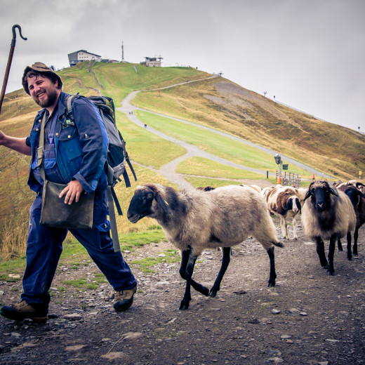 Schäfer und Schafe  | © Edith Danzer