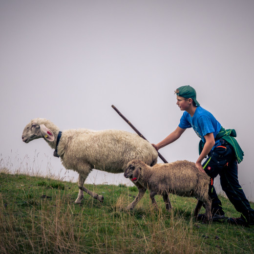 Manche brauchen Unterstützung | © Edith Danzer