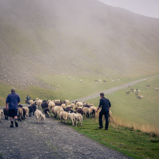Gesammelt Richtung Gipfel | © Edith Danzer