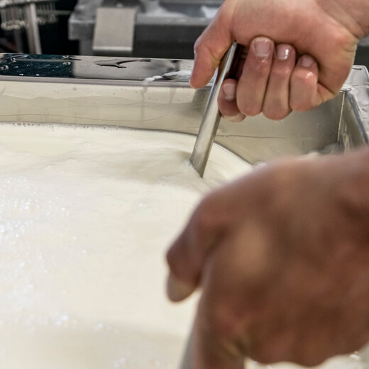 Erste Schritte zum Alpen-Mozzarella | © Linda Zechmeister