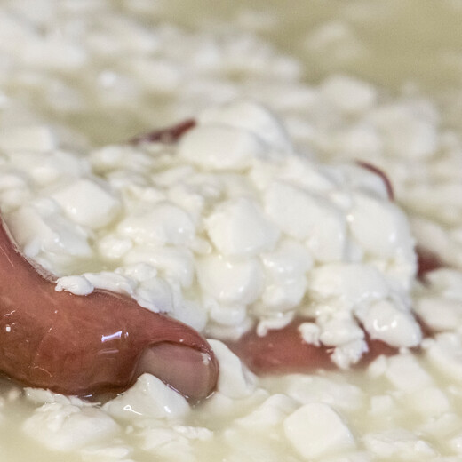 Alles von Hand gemacht | © Linda Zechmeister