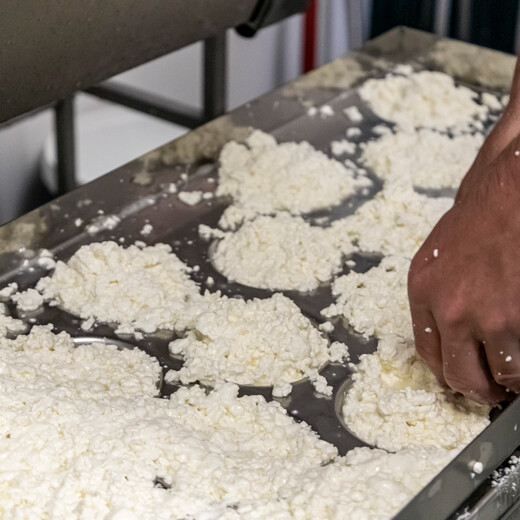 Der Alpen-Mozzarella wird in Form gebracht | © Linda Zechmeister