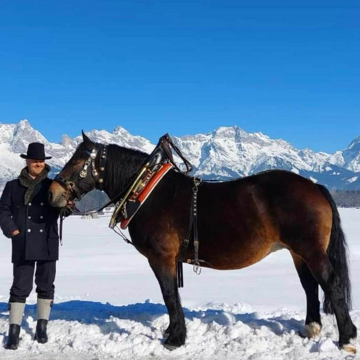 Norikers also like the snow | © Michaela Mitterer Norikers also like the snow | © Michaela Mitterer
