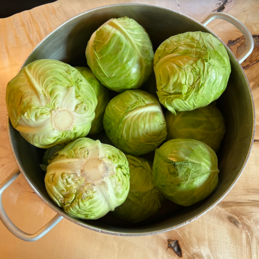 Cabbage fresh from the field | © Michaela Mitterer