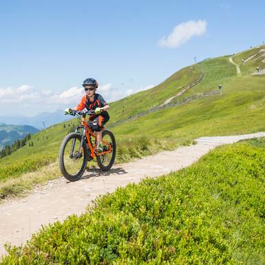 Nico fühlt sich am Hackelbergtrail sofort wohl. | © Heiko Mandl