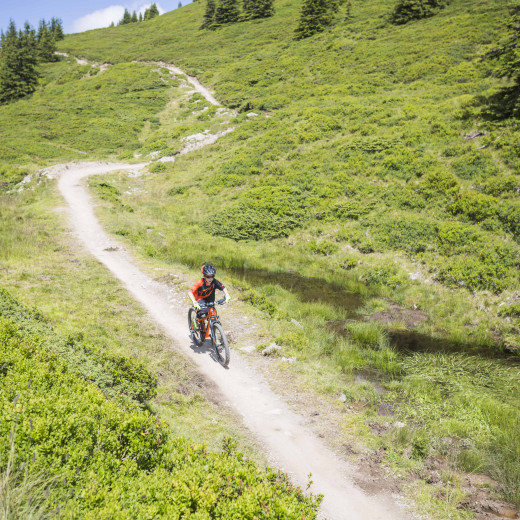 Once past the pond there is a steep ascent | © Heiko Mandl Once past the pond there is a steep ascent | © Heiko Mandl