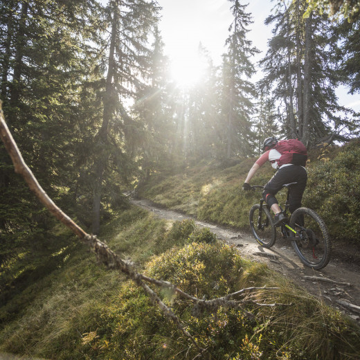 The Wurzeltrail | © Heiko Mandl The Wurzeltrail | © Heiko Mandl